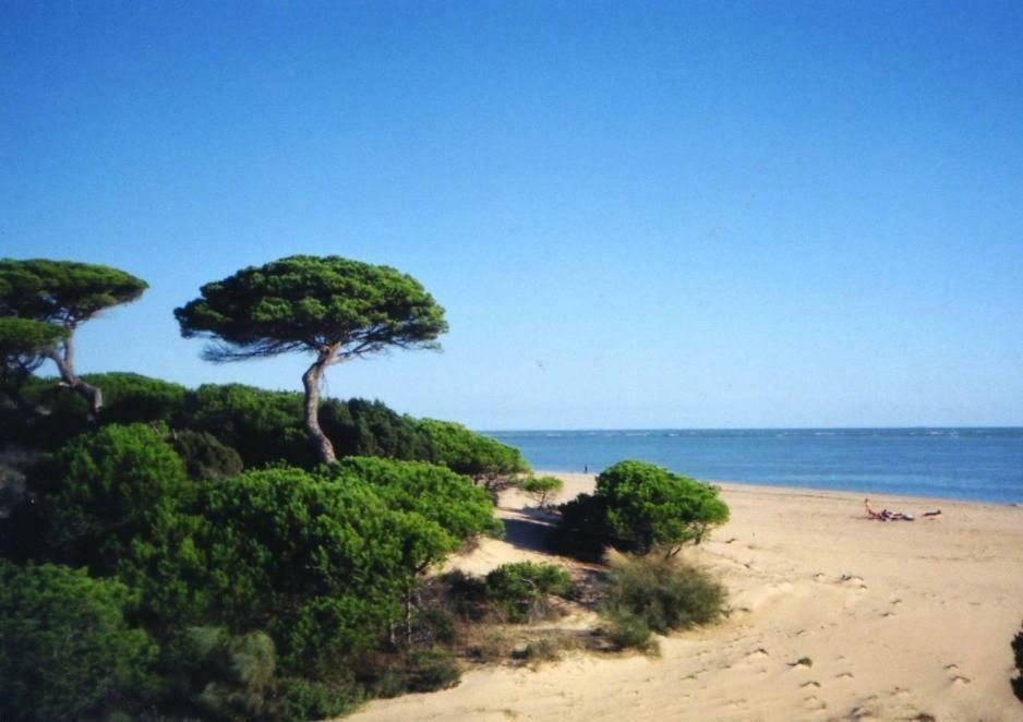 Atico Del Portil * El Portil